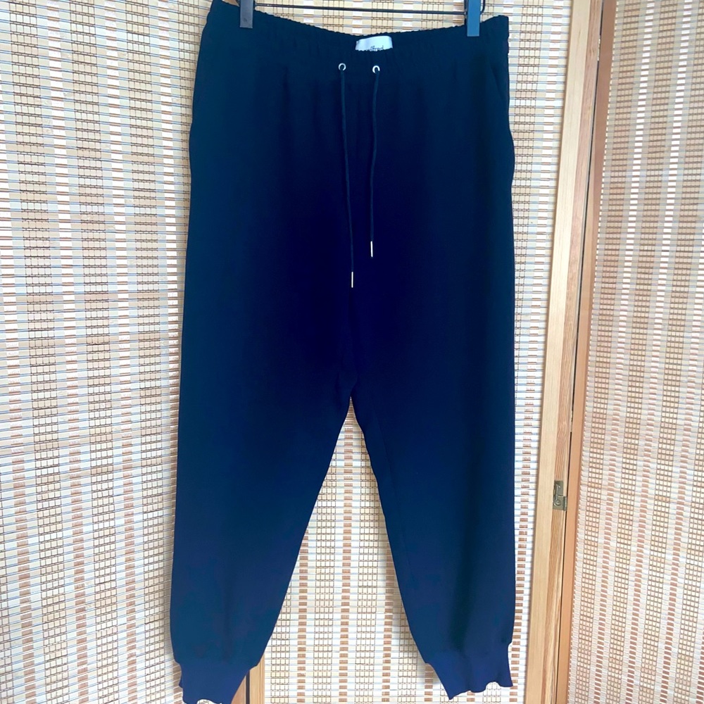 Wilfred Aritzia Harem Wide leg tapered trousers drawstring joggers silky navy M